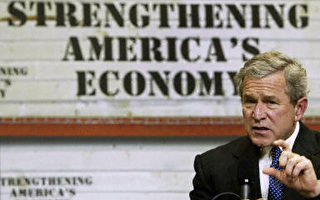 布什称 减税促美经济复苏