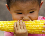 中國因糧食進口巨幅成長而憂慮糧食危機