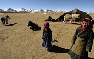 西藏冰河熔化可能導致下一世紀生態浩劫