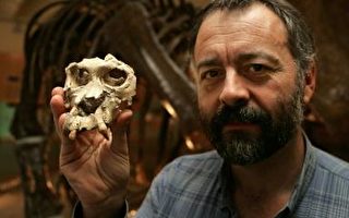 西班牙发现1300万年前古猿化石