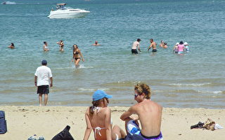 澳洲海滩发生溺毙事件男性占多数