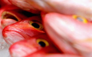【西餐食谱】烤红鱼配菠菜番茄