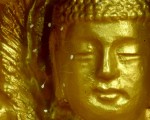 韩国全罗南道顺天市海龙面的须弥山禅院的佛像上出现佛家传说中的优昙婆罗花。(大纪元韩国记者徐良玉摄影)