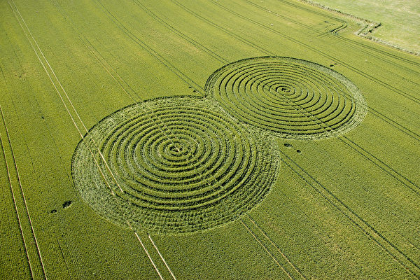 2004年6月10日在英国Hampshire的Porchester瞬间成形的麦田圈(Courtesy of Steve Alexander www.temporarytemples.co.uk) 2004年6月10日在英国Hampshire的Porchester瞬间成形的麦田圈(Courtesy of Steve Alexander www.temporarytemples.co.uk)