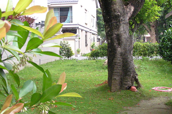 目前經社區居民認養後的美麗糖廠風光(大紀元) 目前經社區居民認養後的美麗糖廠風光(大紀元)