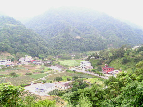 從山腰觀景平台俯瞰「金瓜寮茶香生態區」 從山腰觀景平台俯瞰「金瓜寮茶香生態區」