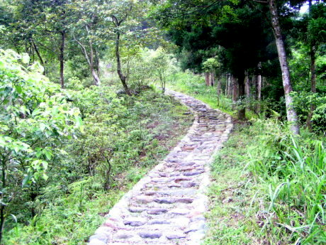 金瓜寮生態園區環山健行步道(繞一圈約15分鐘)。 金瓜寮生態園區環山健行步道(繞一圈約15分鐘)。