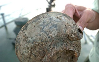 福建发现古沉船陶瓷  掀起非法打捞