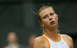 WTA世界排名夏拉波娃緊追戴凡波 僅差23分