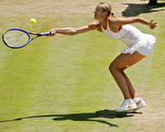 摩根大通女网赛皮尔丝因伤退赛佩特洛娃晋级