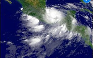 史丹颶風重擊墨西哥　紐約未雨綢繆檢討因應