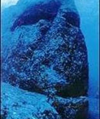 與那國島海底高達數公尺的人頭雕像(圖片提供:木村政昭教授) 與那國島海底高達數公尺的人頭雕像(圖片提供:木村政昭教授)