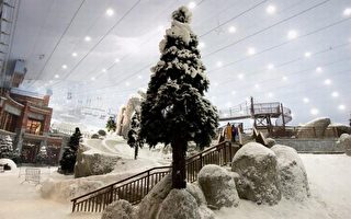 組圖：再創奇蹟 陽光迪拜的冰雪世界