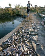 廣東北江水污染 十萬多人受影響