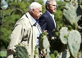夏隆與布什 政治領袖間少見的美好友誼