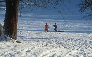 雪地車致傷亡超過滑雪板和滑雪