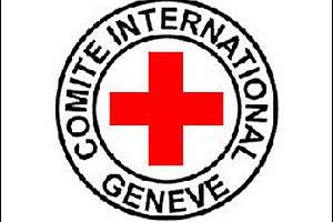 菲律宾山崩  国际红十字会吁国际社会援助