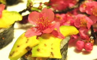 海鮮櫻花季--浪漫粉紅櫻花餐