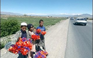 阿富汗南部爆發激戰 41名塔利班份子喪生