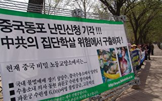 中共操控下  韓欲遣返中國難民