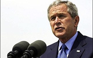 布什讚揚提名伊拉克總理 駐伊美軍可望減少