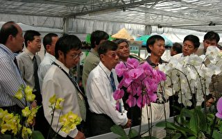 马来西亚留台校友会参观兰花栽培