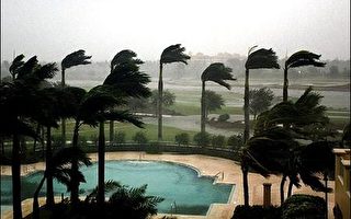 专家预测：今年至少有四个飓风会袭击美国