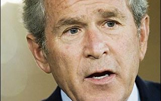 布什決心在巴格達增加美軍與伊拉克部隊