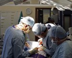 中西醫生看器官移植 突顯道德分歧