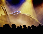 組圖：雪梨「與恐龍共舞」舞台秀