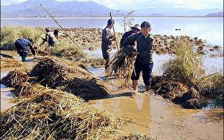 北韓水患 南韓提供緊急援助