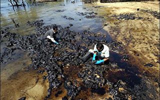 菲國外海油輪漏油嚴重　綠色和平展開調查