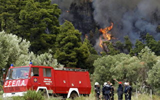 组图：希腊森林大火 居民游客被迫疏散