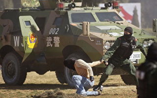 中国武警与警察国家化