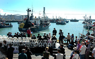 組圖：新西蘭首屆奧克蘭海洋食品節開幕