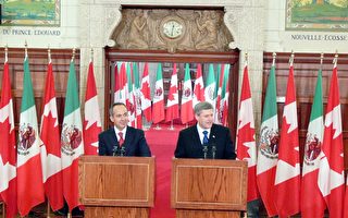 墨西哥即任总统寻求与加拿大合作