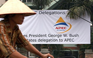 APEC峰会在即 人权组织抨击越南拘捕街童