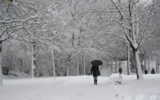 瑞典入冬以来第一场雪