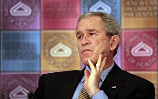 布什声望跌至新低  尼克森后最不受欢迎总统