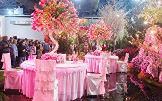 组图：奇花异卉 世界最大室内花展