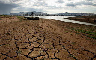 澳大利亞五年乾旱專家擔心無盡頭