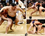 日本相撲運動及外國選手