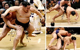 日本相扑运动及外国选手