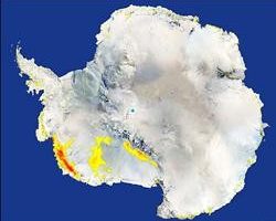 南極融冰 ３０年來最大