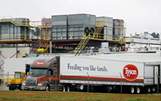 美國泰森食品密蘇里雞肉廠 371員工染疫