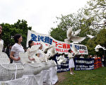 多倫多集會主辦者放飛白鴿，象徵民眾擺脫中共邪靈束縛，生命得救。
