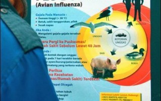 印尼证实禽流感死亡病例 总数增至七十八例