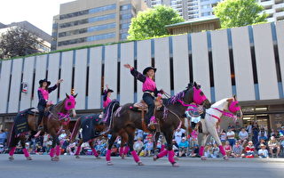 组图：加拿大卡尔加里牛仔节大游行