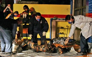 巴西客机爆炸目击者：我看到焦尸飞上天