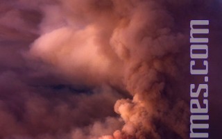 加州野火扩散至近二万亩面积   火势失控